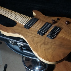 Carvin DC800 Extended Scale 8 (VENDIDA)