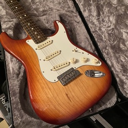 Fender American Professional Stratocaster (VENDIDA)